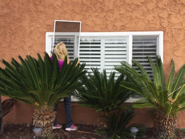 Screen replacement for window in San Diego County